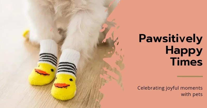 4Pcs Cute Pet Dog Socks