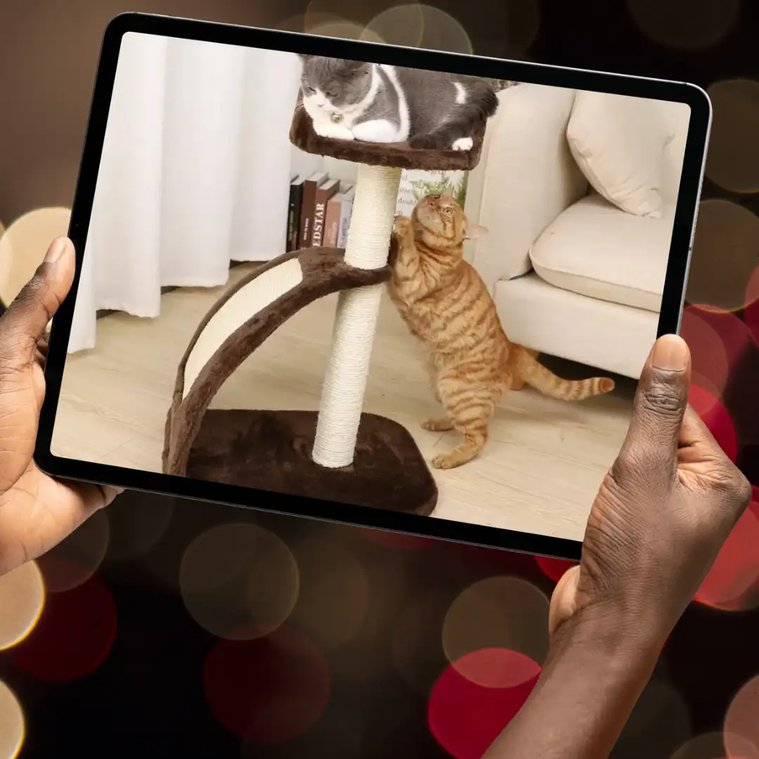 Compact Cat Scratching Post