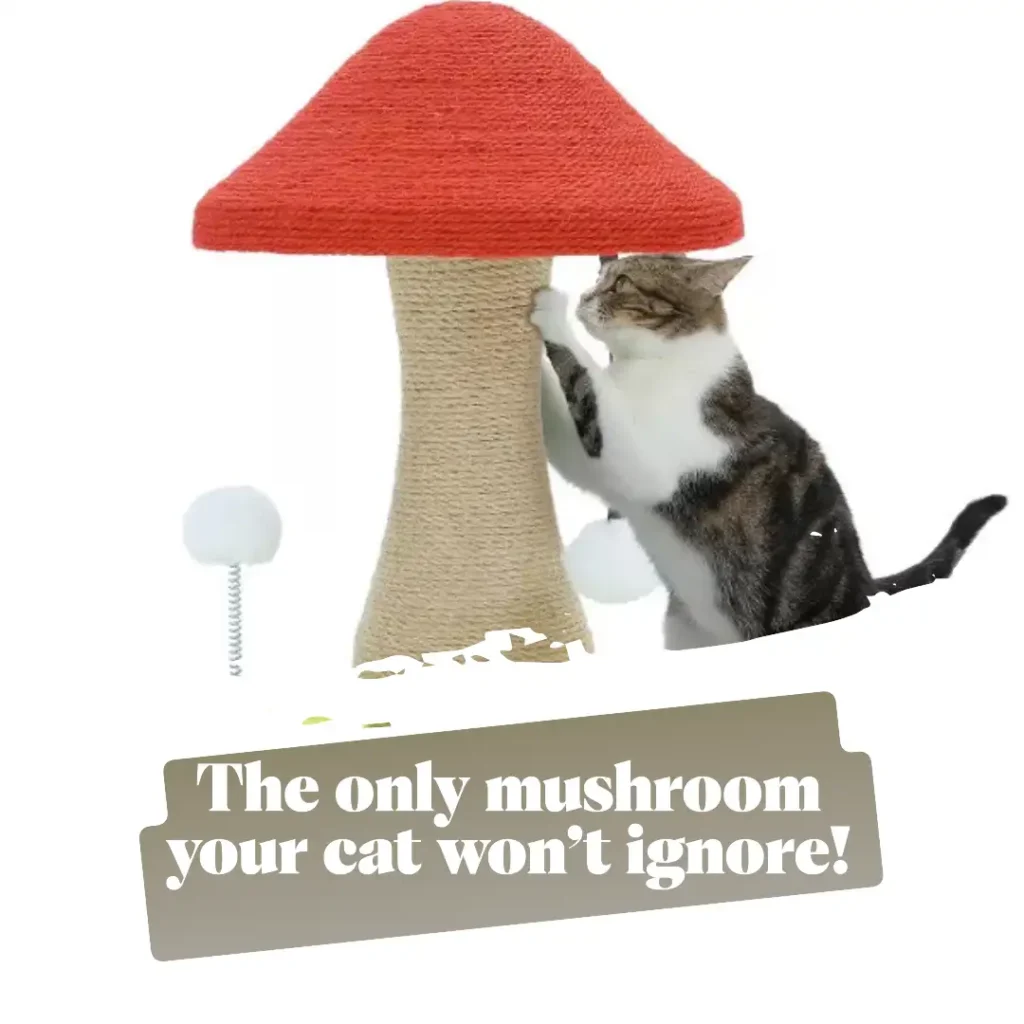 Mushroom Cat Scratching Post Mushroom Cat Scratching Post