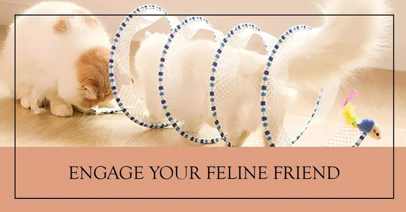 Folding Cat Tunnel Folding Cat Tunnel